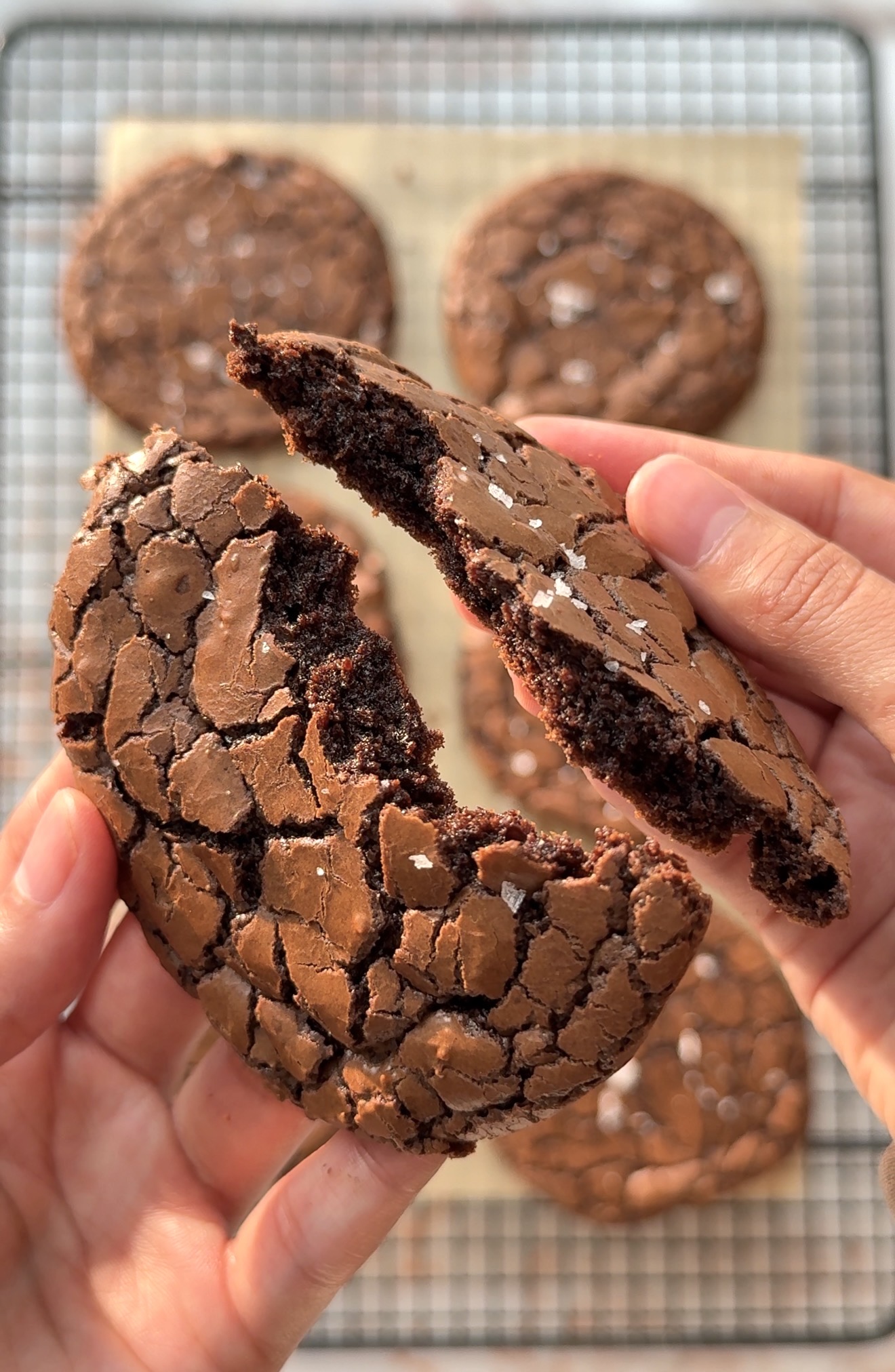 brownie cookies